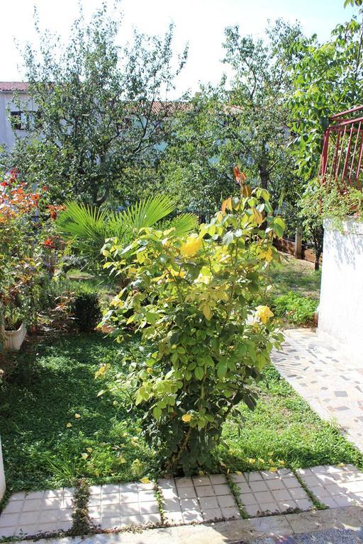 Pet Friendly Apartment In Porec With Wifi 객실 사진